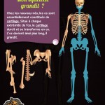 Chocolapps Explique Tom le corps humain iPad Denis Brogniart 7