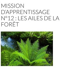 Mission forêt avec Noé 6